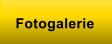 Fotogalerie